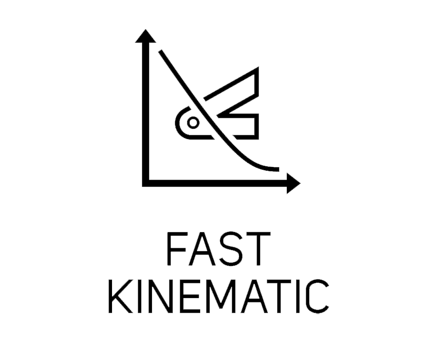 FAST KINEMATIC
